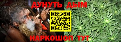 сатива Пенза
