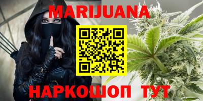 сатива Пенза