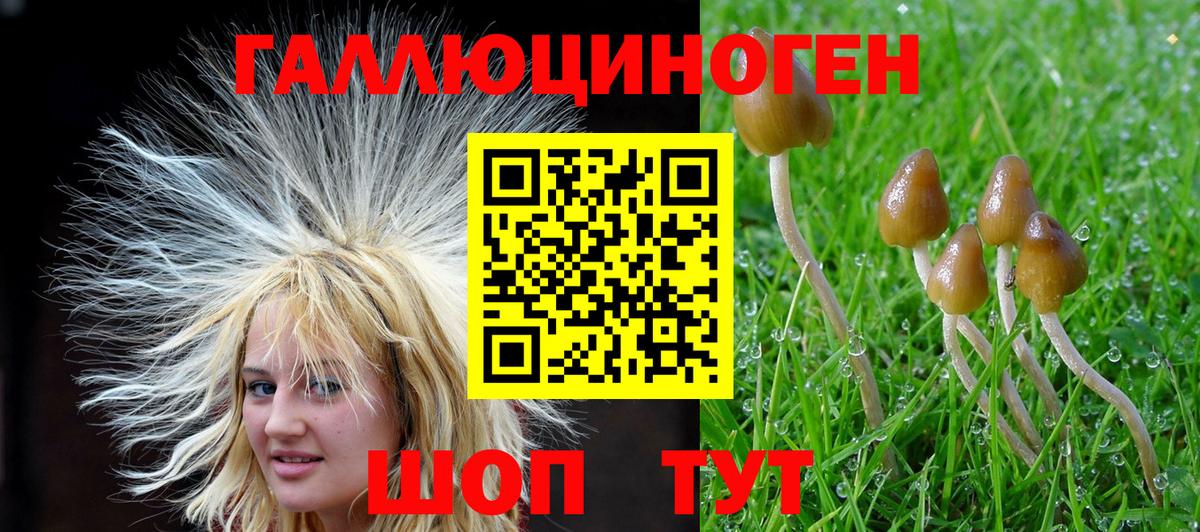 Псилоцибиновые грибы мицелий Тосно