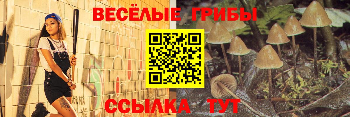 Галлюциногенные грибы GOLDEN TEACHER  Вход с VPN  Псилоцибиновые грибы Cubensis  Тосно 